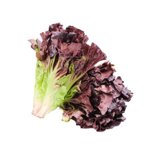 lechuga-roja