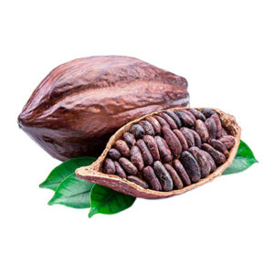 Cacao